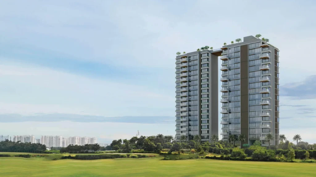 The Storeys Infinity